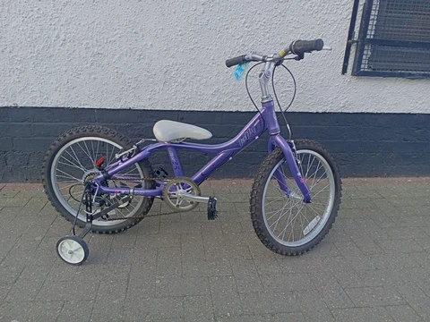 little girls Giant bike