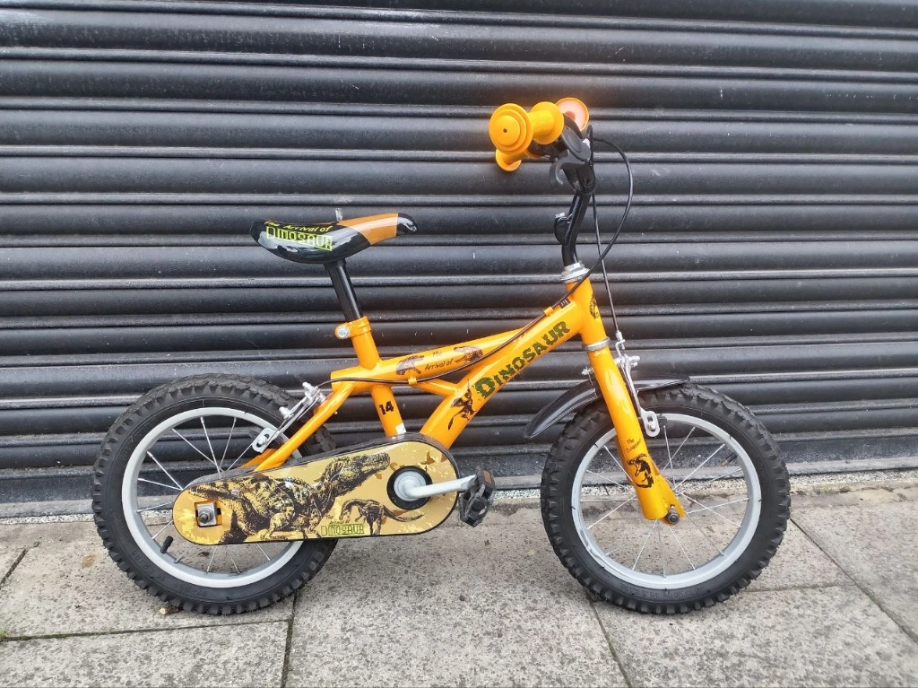 Dinosaur Kids Bike used