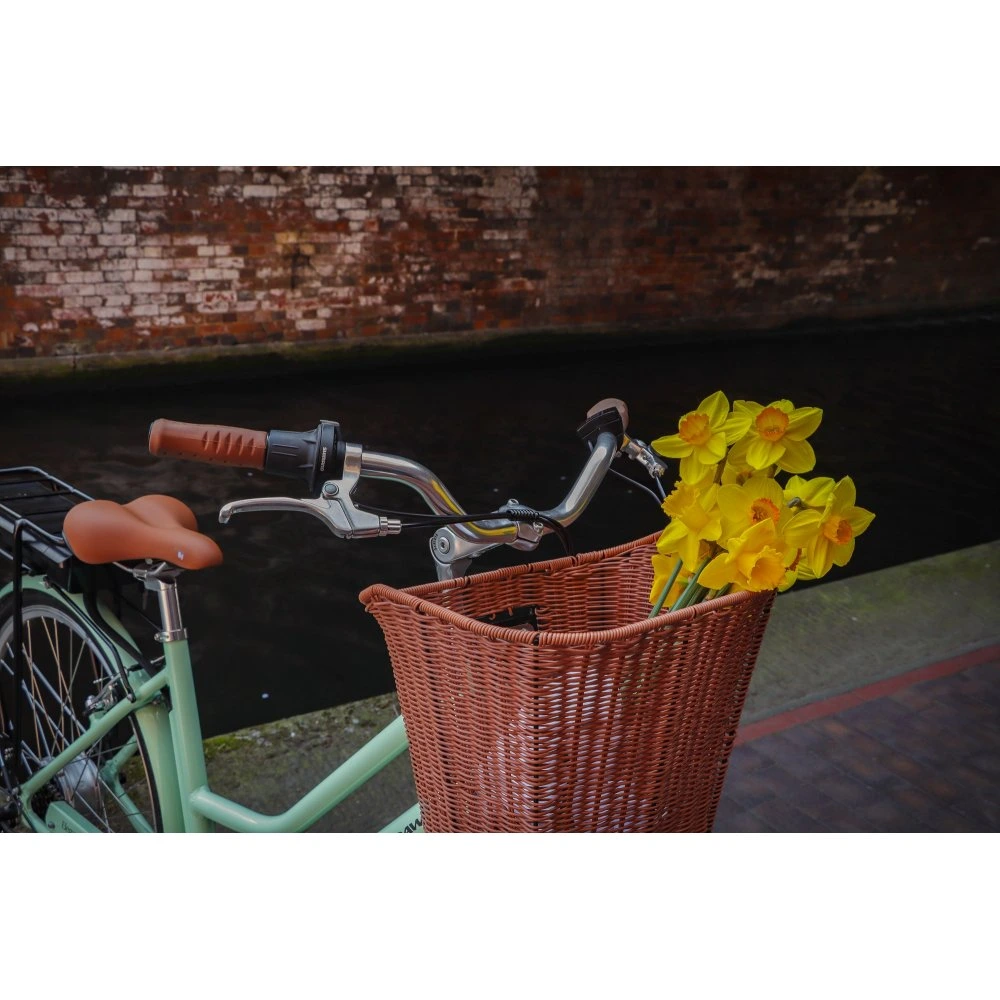 Dawes Elegance Low Step Electric Hybrid Bike 3.webp