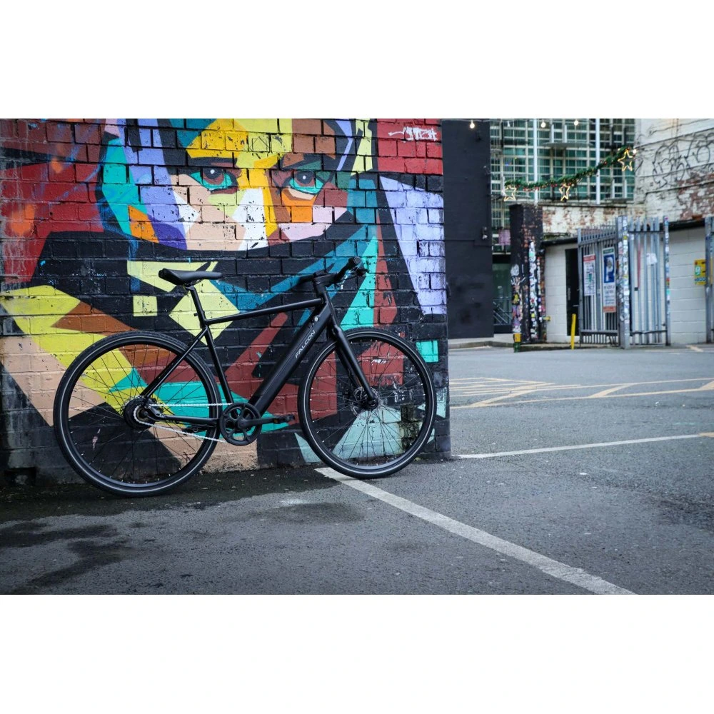 Falcon Zone Electric Hybrid Bike 4.webp