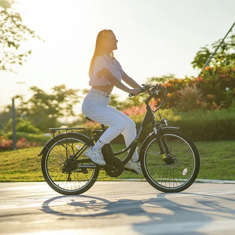 U2 Foldable Electric Bike 500W Black 3.webp