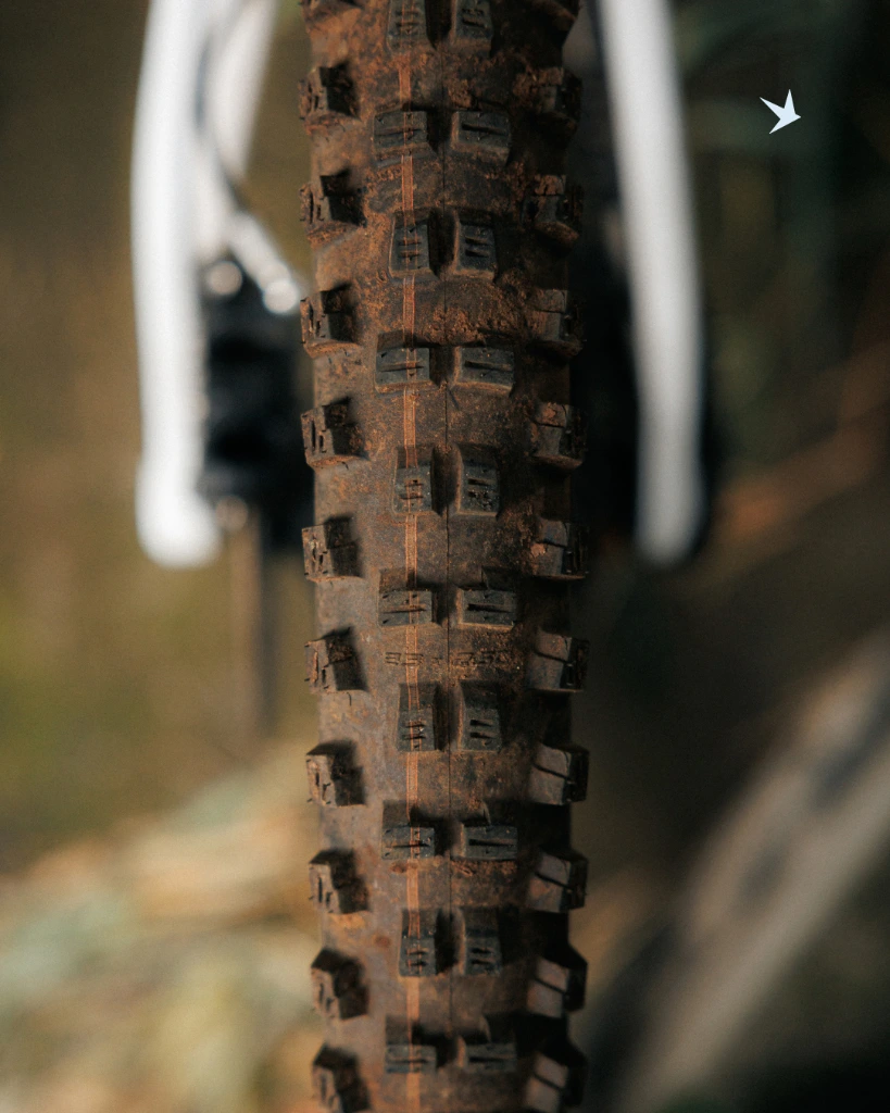 Schwalbe Tacky Chan Gravity Pro TLR Ultra Soft MTB Tyre 2.webp
