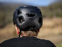 lupo_black_1.webp