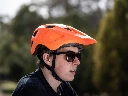 lupo_orange_1.webp