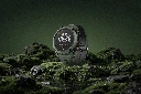 studio-green---nomad.webp