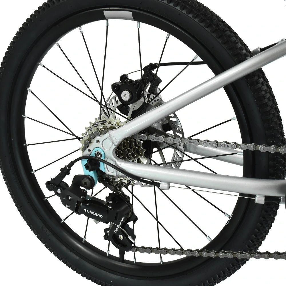 HOY Pentland 20 inch Kids Bike Titanium Silver 6.webp