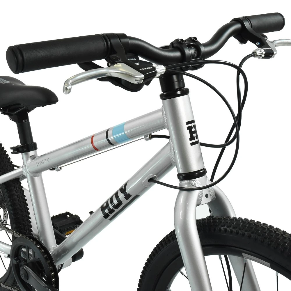 HOY Pentland 20 inch Kids Bike Titanium Silver 9.webp