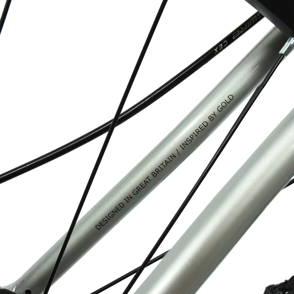 HOY Pentland 20 inch Kids Bike Titanium Silver 12.webp