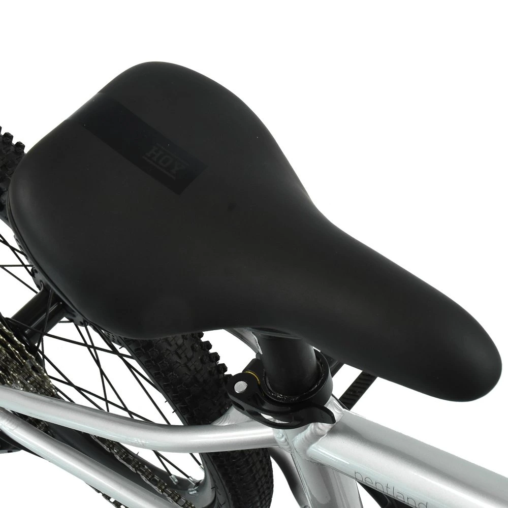 HOY Pentland 20 inch Kids Bike Titanium Silver 11.webp