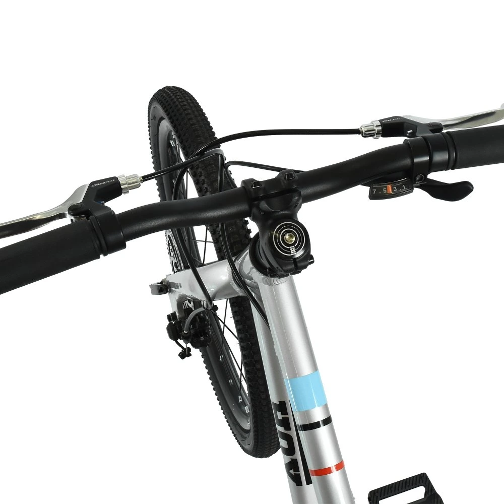 HOY Pentland 20 inch Kids Bike Titanium Silver 5.webp