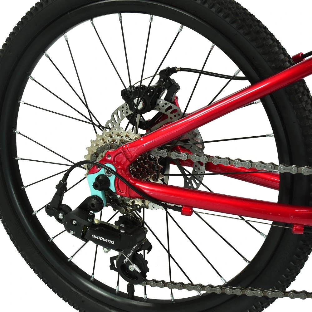 HOY Pentland 20 inch Kids Bike Sprint Red 4.webp