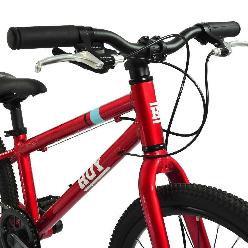 HOY Pentland 20 inch Kids Bike Sprint Red 8.webp