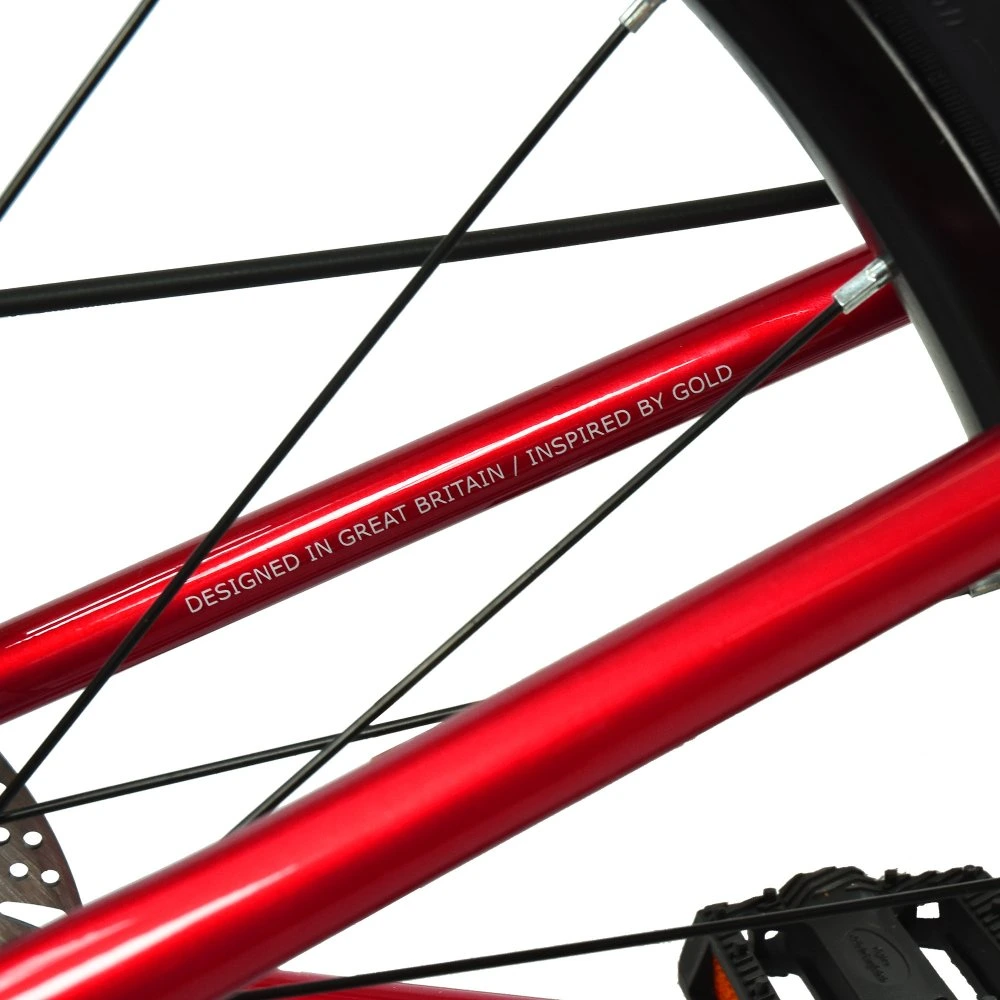 HOY Pentland 20 inch Kids Bike Sprint Red 11.webp