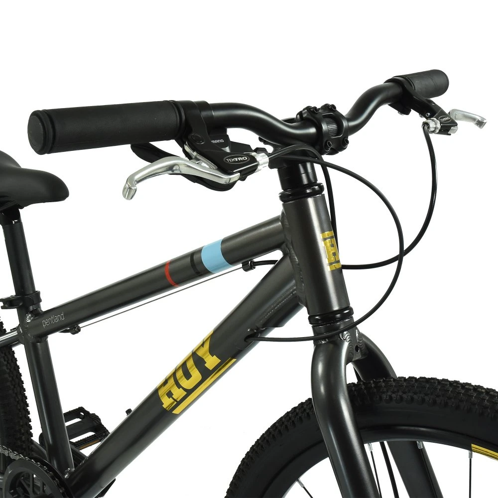 HOY Pentland 24 inch Kids Bike Stealth Black 9.webp