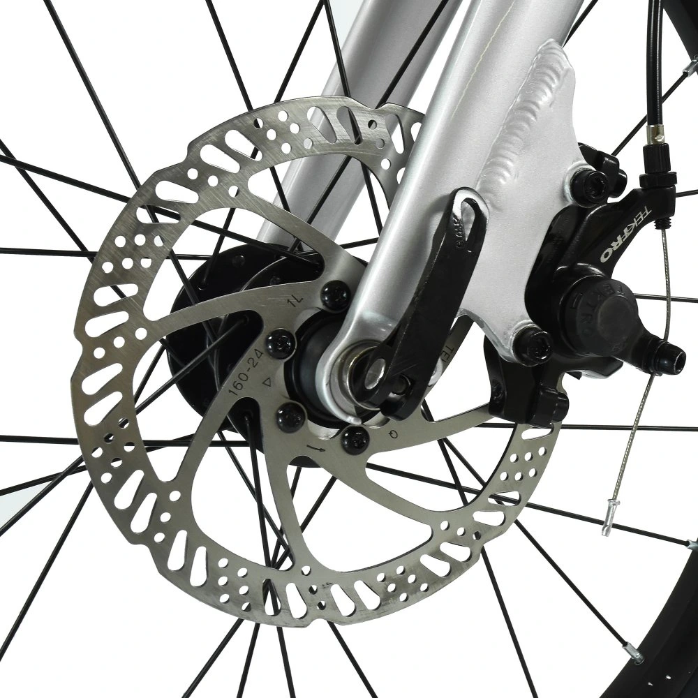 HOY Pentland 26 inch Kids Bike Titanium Silver 3.webp