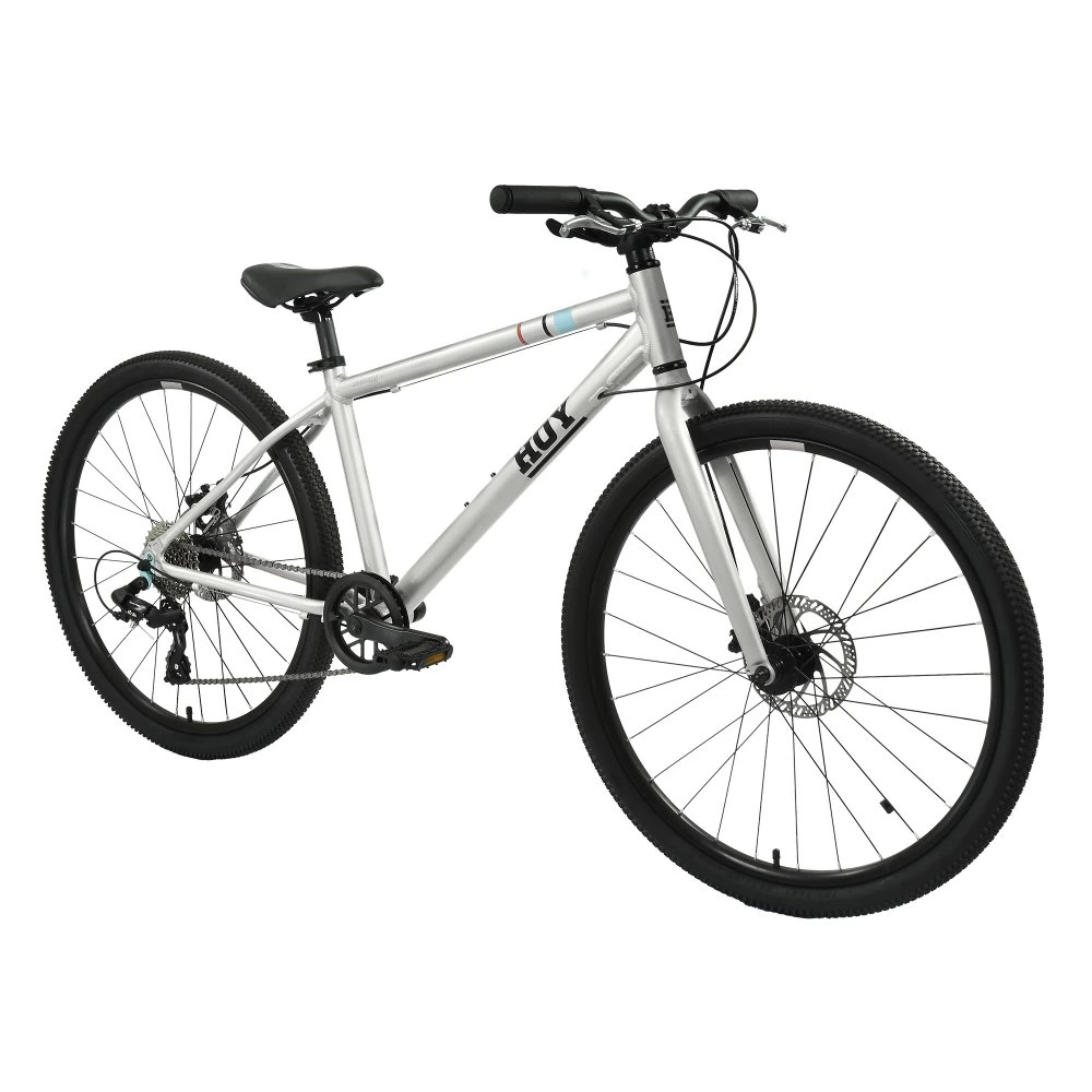 HOY Pentland 26 inch Kids Bike Titanium Silver 14.webp