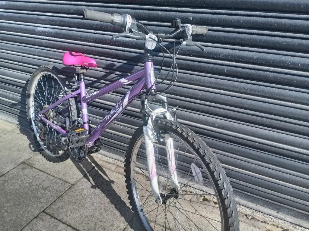 Apollo Twilight Girls Bike 5.webp