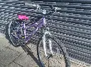 Apollo Twilight Girls Bike 5.webp