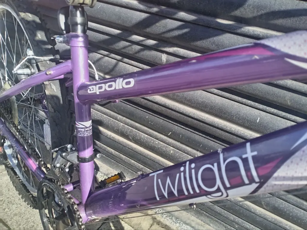 Apollo Twilight Girls Bike 2.webp