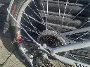 Fold Up Bike White Saxon 4.webp