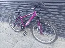 Apollo Jewel Purple 2.webp