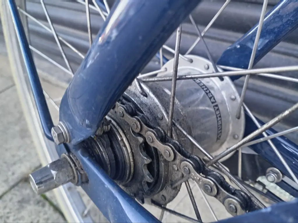 Blue Pashley Bike Mens 5.webp