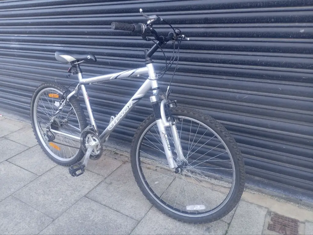 Giant GSR FS bike 2.webp