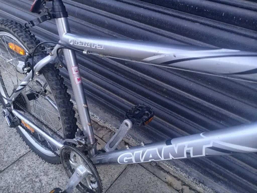Giant GSR FS bike 4.webp