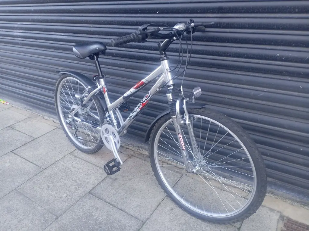 Grand Mountain Bike silver 2.webp