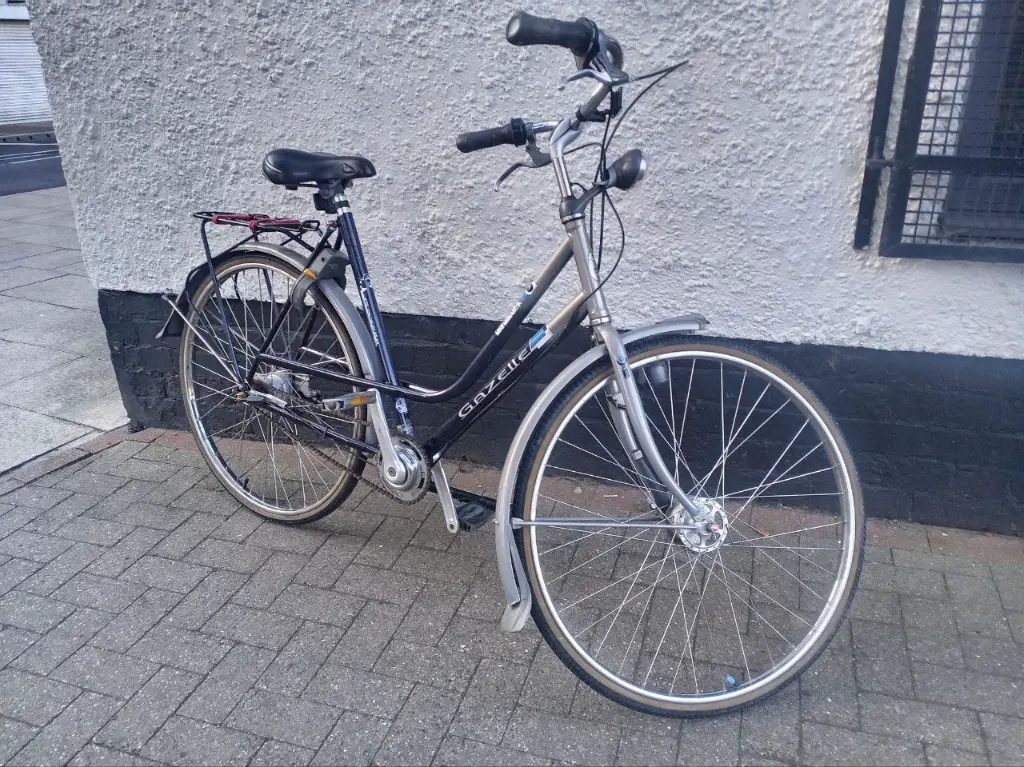 Gazelle Primeur - Step Thru Town Bike 2.webp