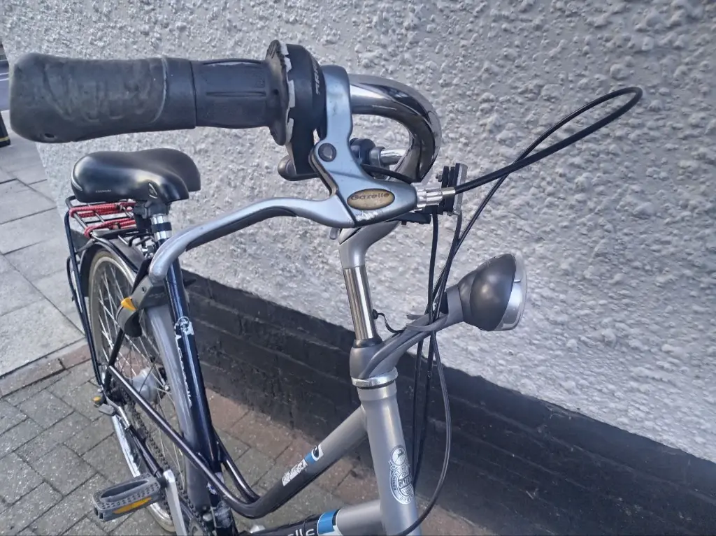 Gazelle Primeur - Step Thru Town Bike 3.webp