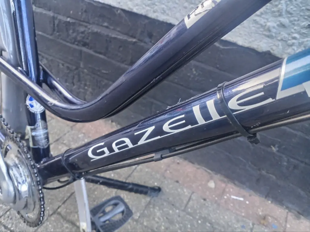 Gazelle Primeur - Step Thru Town Bike 6.webp