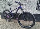 Trek Roscoe 6 Purple 2.webp