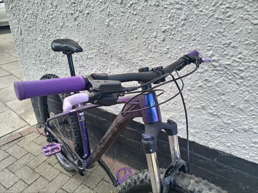 Trek Roscoe 6 Purple 7.webp