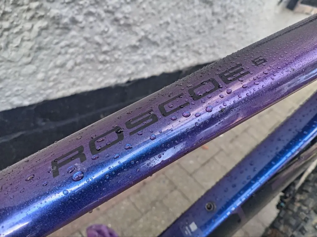 Trek Roscoe 6 Purple 9.webp