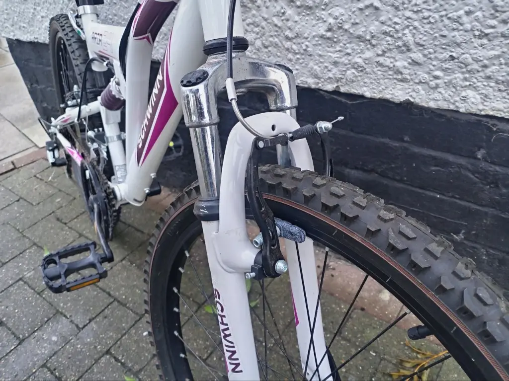 Schwinn Aria 24 4.webp