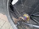 Invert BMX 6.webp
