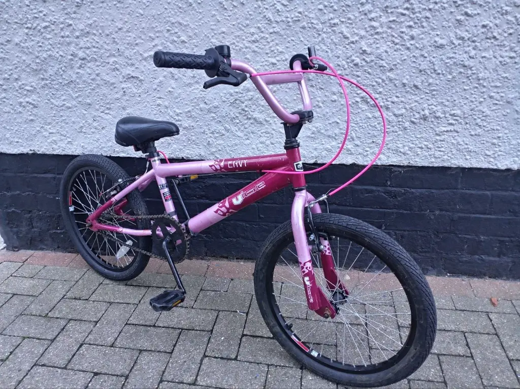 Envy Vibe Pink 20 inch 2.webp