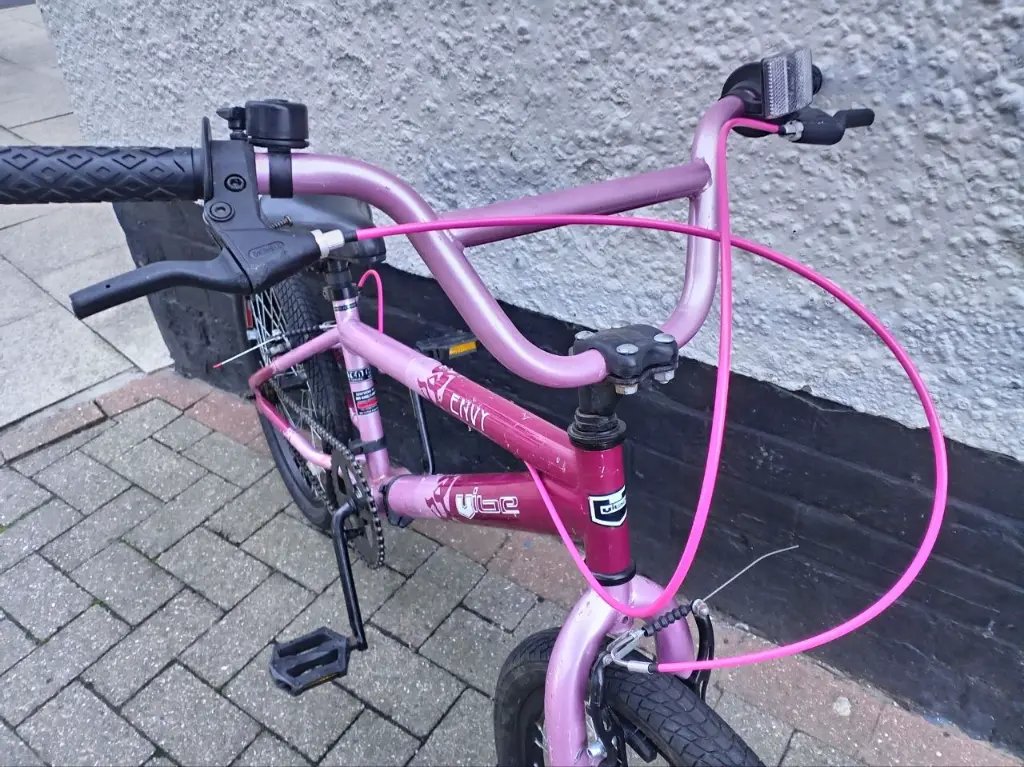 Envy Vibe Pink 20 inch 3.webp