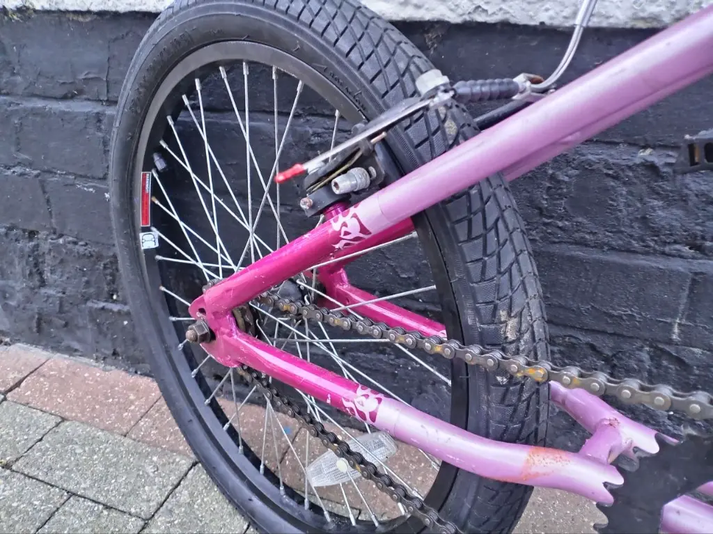 Envy Vibe Pink 20 inch 4.webp