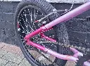 Envy Vibe Pink 20 inch 4.webp