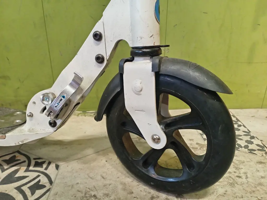 photo_2025-02-11_20-17-59 (3).webp