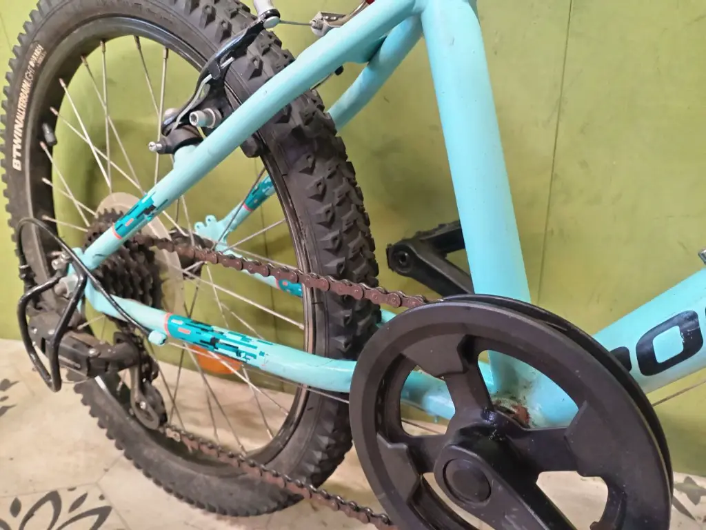 photo_2025-02-11_20-15-16 (2).webp