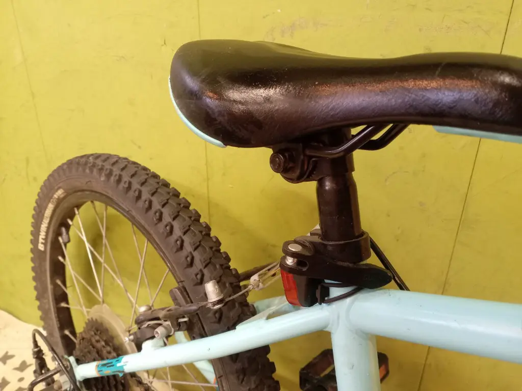 photo_2025-02-11_20-15-16 (3).webp