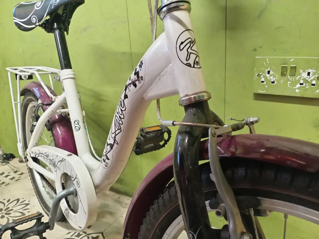 photo_2025-02-11_20-13-37 (3).webp