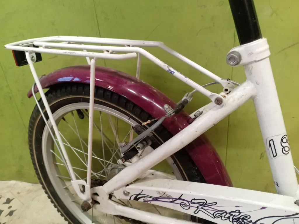 photo_2025-02-11_20-13-37 (4).webp