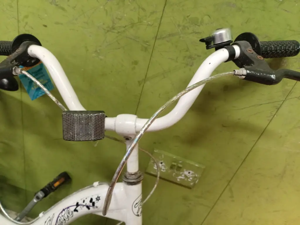 photo_2025-02-11_20-13-37 (2).webp