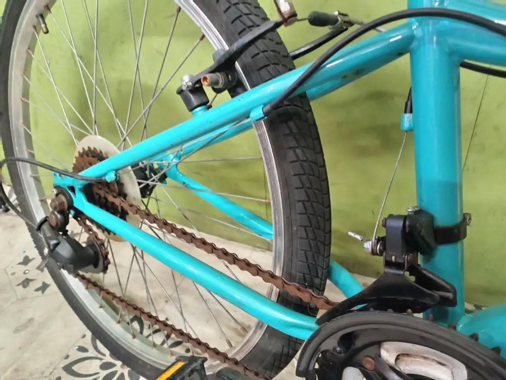 photo_2025-02-11_20-12-56 (3).webp