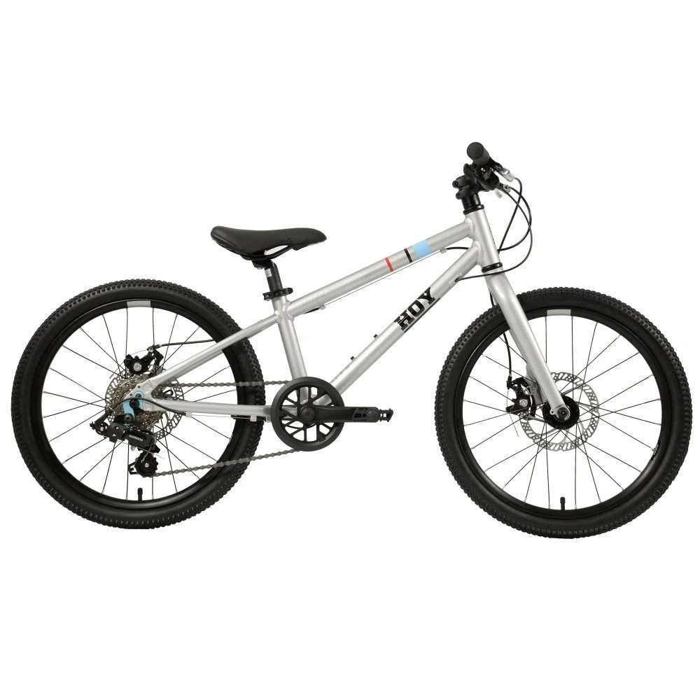 HOY Pentland 20 inch Kids Bike Titanium Silver