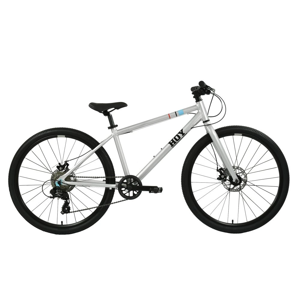 HOY Pentland 26 inch Kids Bike Titanium Silver